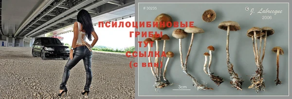 альфа пвп Володарск